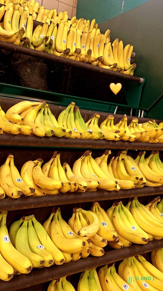 Premium Bananas